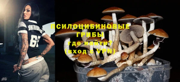 MESCALINE Алзамай