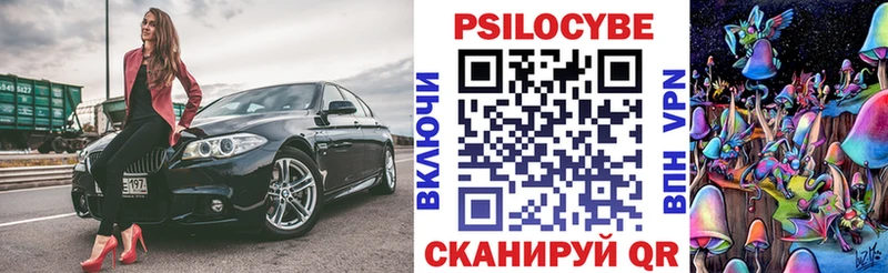 Псилоцибиновые грибы Psilocybe  сайты даркнета как зайти  Чёрмоз 