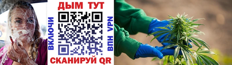 продажа наркотиков  мега маркетплейс  Марихуана планчик  Чёрмоз 